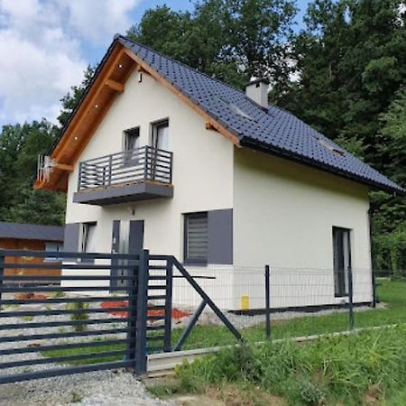 Leniowka Apartman Ponikiew  Kültér fotó
