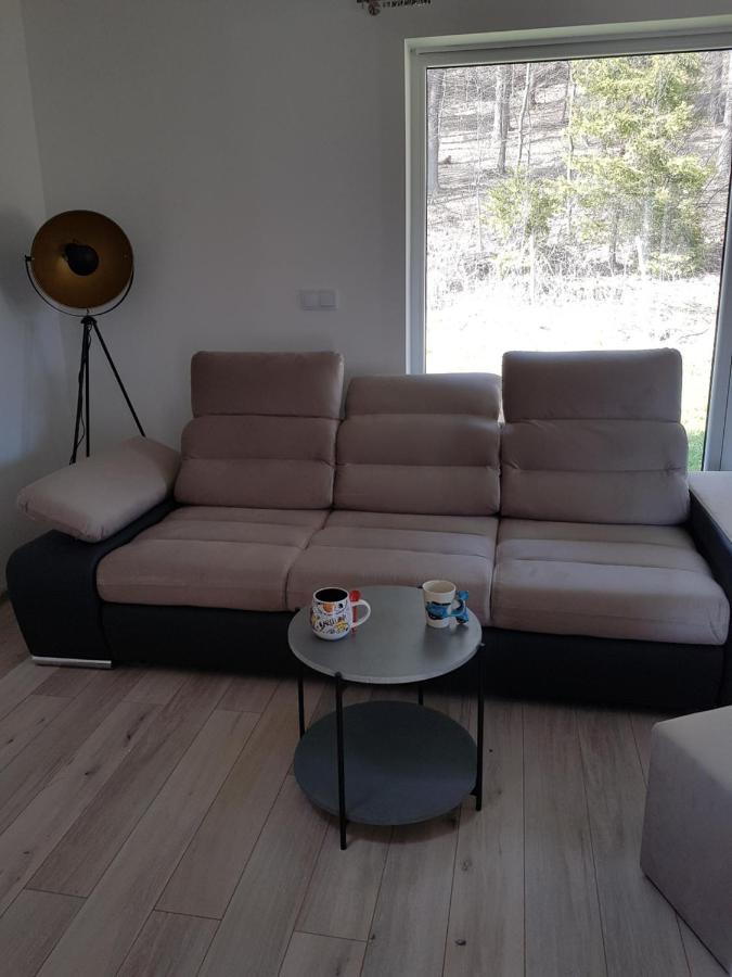 Leniowka Apartman Ponikiew  Kültér fotó